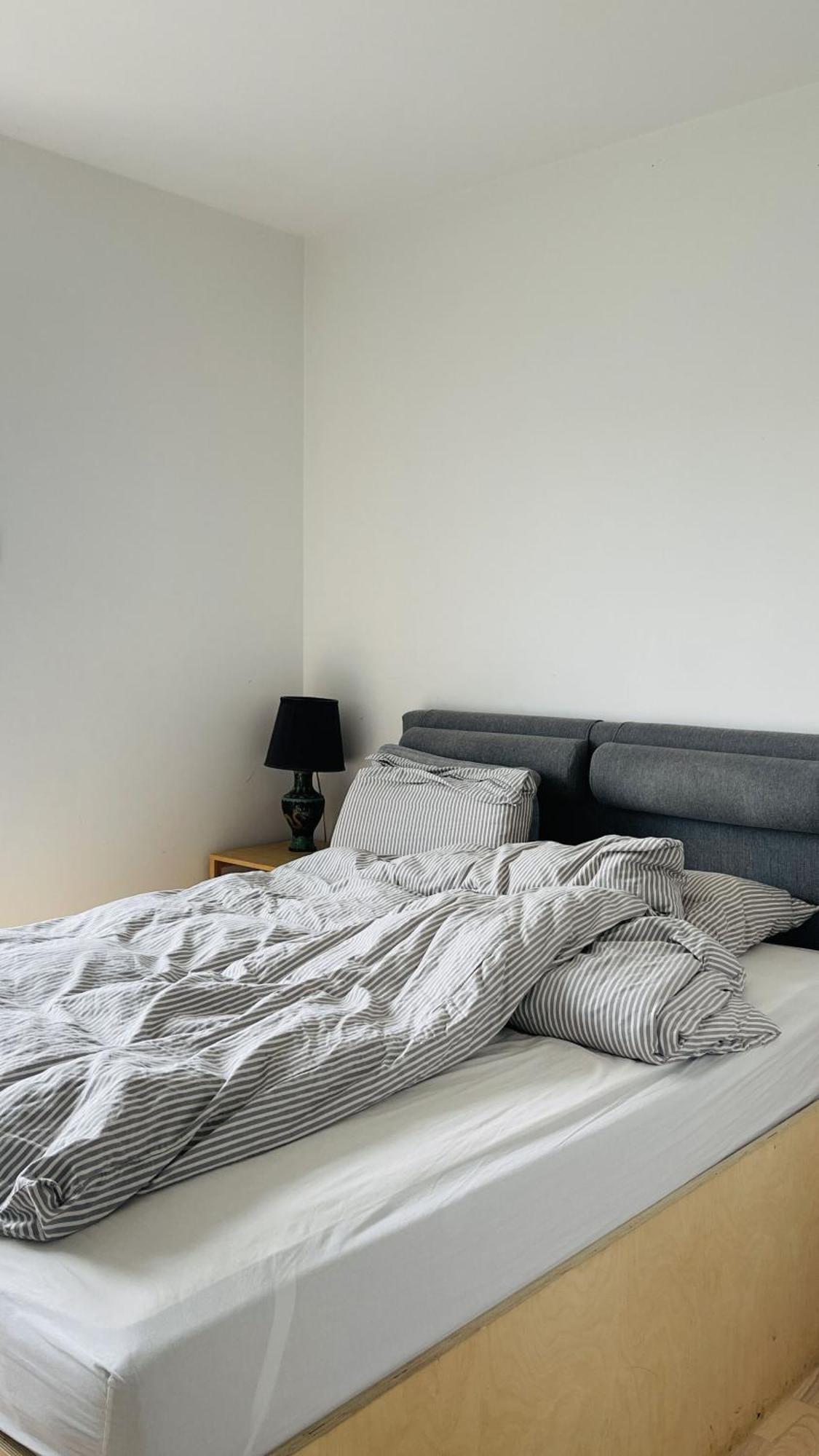 Apartmentincopenhagen 1609 Kopenhagen